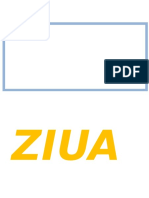 Ziua 1