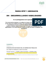 PROGRAMA-EFIP-I-ABOGACIA 2018 DH Con Los Puntos + Importantes