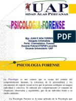 Psicología Forense: Áreas de Actuación