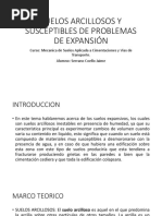 Suelos Arcillosos y Susceptibles de Problemas de Expansión