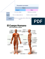 Pronombres Personales, Partes Del Cuerpo Huamano