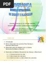 Modelo Situacional H&B