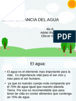 Importancia Del Agua