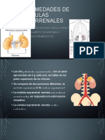 Endocrino REPASO