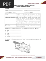 Prueba Ecosistemas y Cadenas Alim