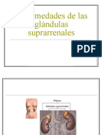 Glandulas Suprarrenales II