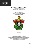 Download LAPORAN INDIVIDU by priskaparamita SN39243817 doc pdf