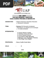 TRABAJO FINAL TEMA 13.docx