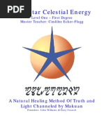 Download Blue Star Level One Manual by Gration SN3924433 doc pdf