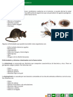 6.-Fauna-nocivas.pdf