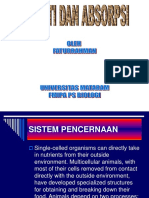 Pencernaan Dan Absorpsi