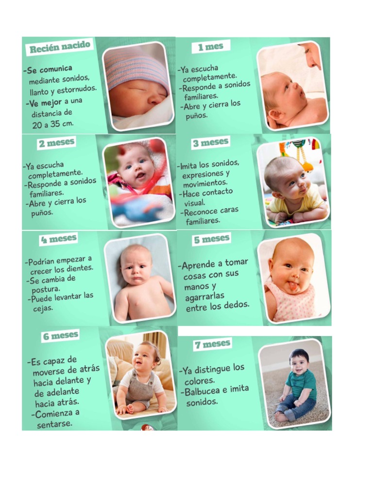 Desarrollo del bebé: de 8 a 12 meses