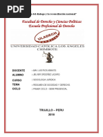 ACTIVIDAD N° 8 FUNDAMENTOS SOCIOLOGICOS