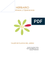 Herbario Gramineas.docx