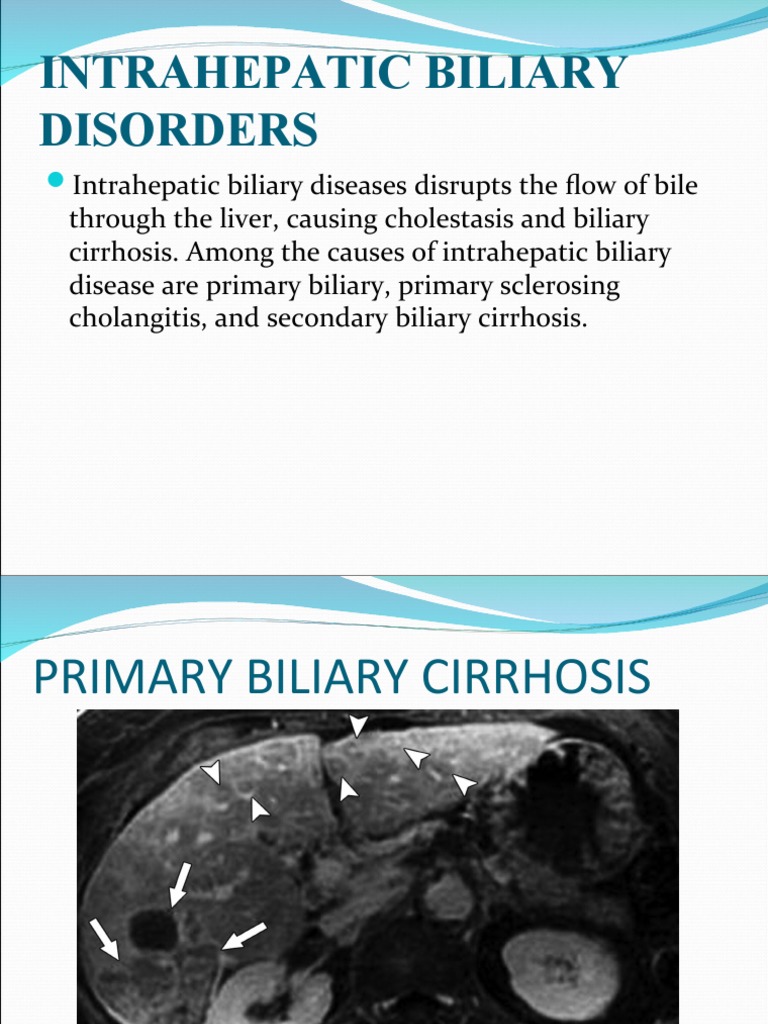 Intrahepatic Biliary Disorders Explained | PDF