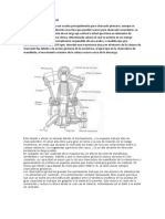 Chancadoras Giratorias