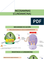 Climdamicina