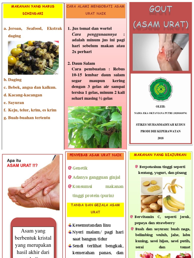 Leaflet Gout PDF