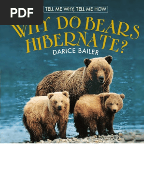 Why Do Bears Hibernate