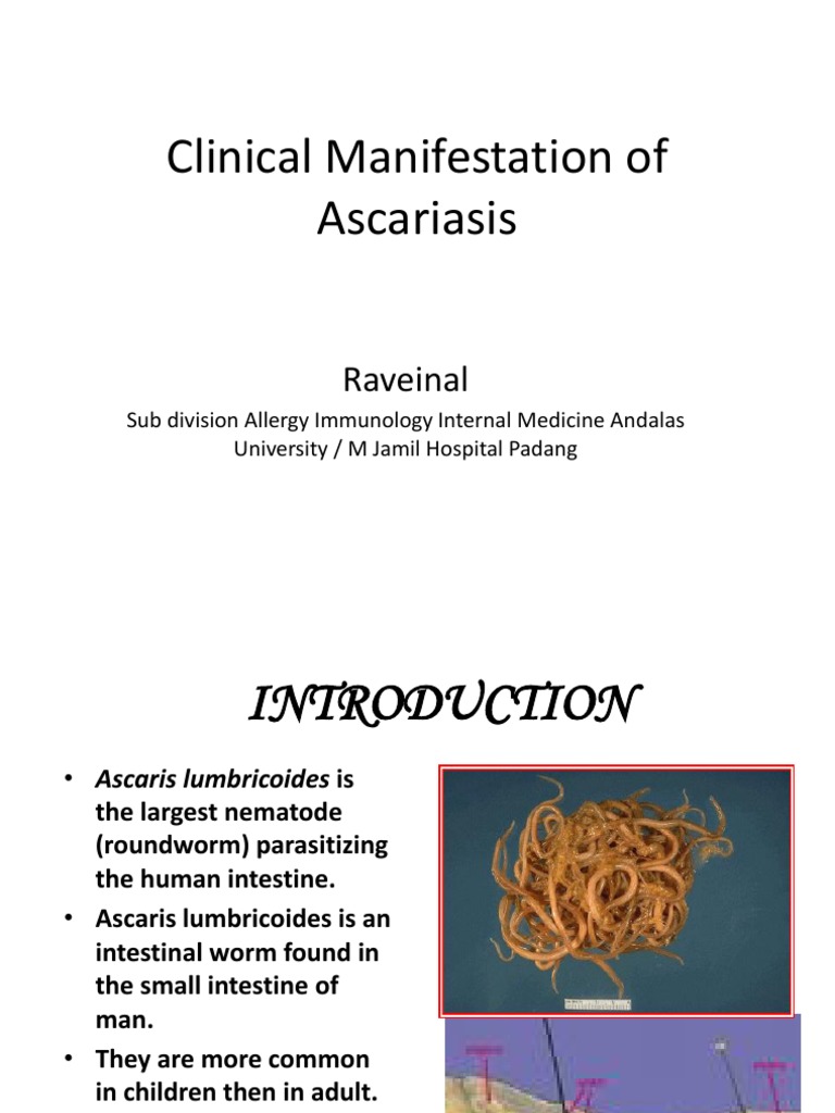 Clinical Features of Ascariasis | PDF | Gastroenterology | Medicine