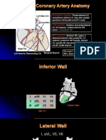 Review - Coronary Artery Anatomy: Left Main CA