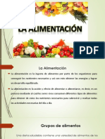 Alimentacion