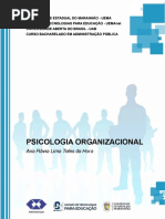 Psicologia organizacional