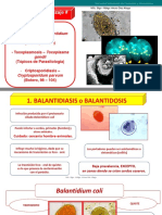 Parasitologia PDF