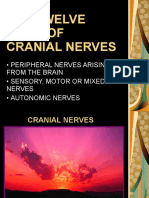 The Twelve Pairs of Cranial Nerves