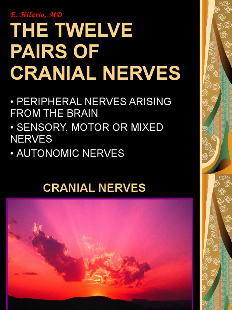 Overview of the Twelve Cranial Nerves | PDF | Vagus Nerve | Animal Anatomy