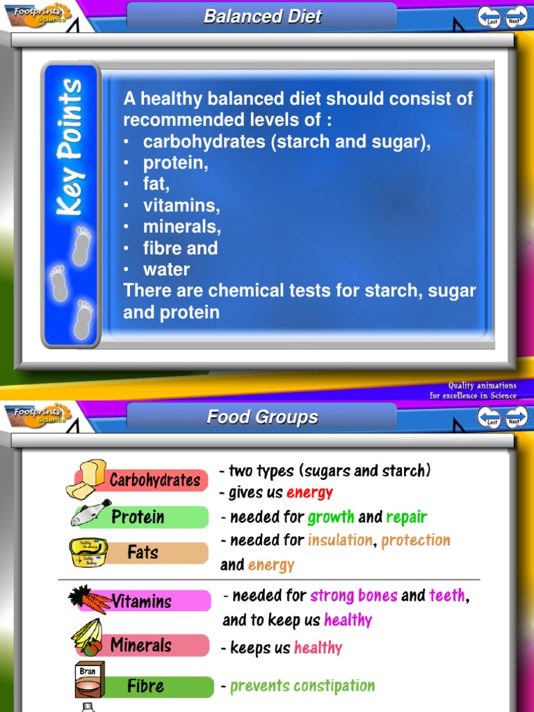 Essential Components of a Balanced Diet | PDF