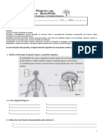 FA - Sistem Neuro-hormonal Sangue