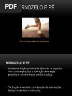 tornozeloepe.pdf