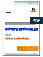 Controle Interne Outil de Performance PDF