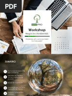 Briefing - Workshop Negócios Ambientais.pdf