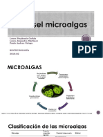 Biodiesel Microalgas 