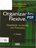 Organização Flexivel Parte1