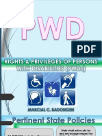 State shall advocate for inclusion and rights of persons with disabilities