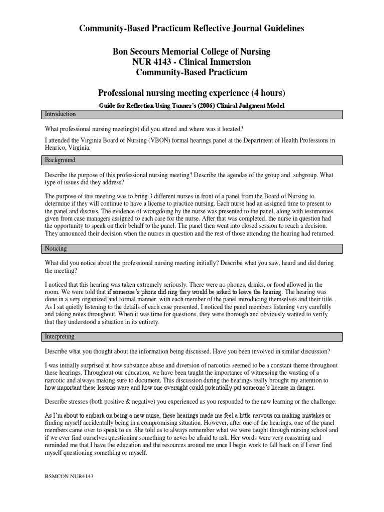 professional meeting reflective journal Nursing Mentorship