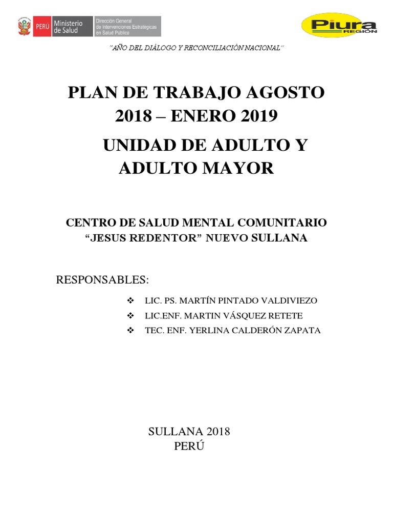 Plan de Trabajo para Adultos Mayores | PDF | Hospital | Salud mental