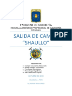 Salida A Campo Shaullo