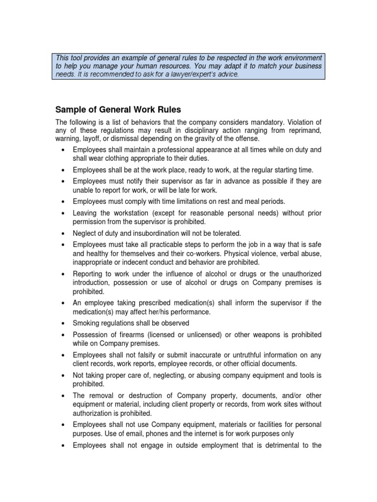 General Work Rules for Employees | PDF | Employment | Public Sphere