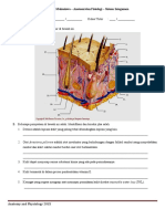 Anatomy and Physiology Student Worksheet - Integumentary System