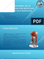 Bioquimica de La Contraccion Muscular - Fatiga Muscular: Integrantes: Medina Pacheco Italo Guttierrez Caparachin Luis