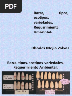 Semana 02 Razas Maiz