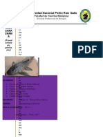 Informe de Investigación de Carachamadocx