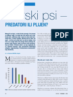 Morski Psi PDF