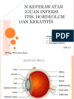 Infeksi Bleparitis