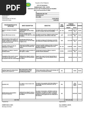 BCPC Work and Financial Plan