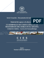 Documento de Trabajo N° 41 PDF